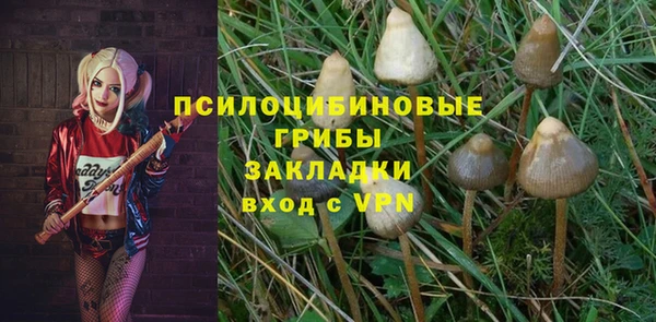 круглые Алзамай