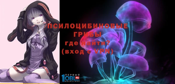 круглые Алзамай