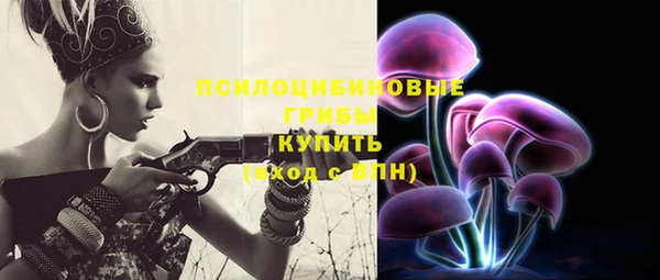 круглые Алзамай