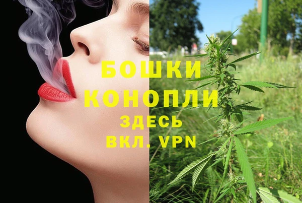 spice Алексин
