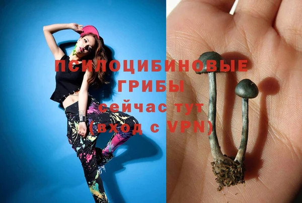 2c-b Алексеевка