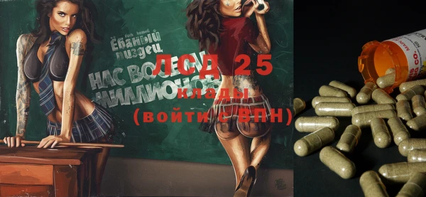 spice Алексин