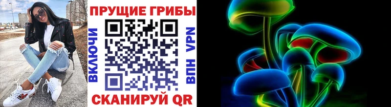 Купить где Арамиль Псилоцибиновые грибы MAGIC MUSHROOMS